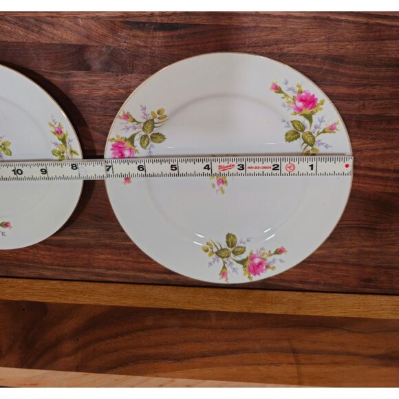 Thames Porcelain China 7" and 6" "Moss Rose" replacement plates - Picture 2 of 5
